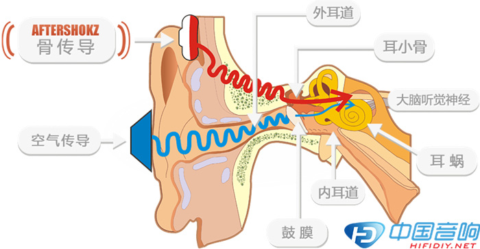 Bone conduction earphone