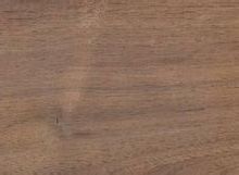 American Black Walnut.jpg