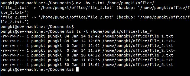 Linux-based mv instructions to move files and directory commands