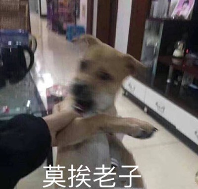 èŽ«æŒ¨è€å­æ˜¯ä»€ä¹ˆæ¢—èŽ«æŒ¨è€å­è¡¨æƒ…åŒ…æŽ¨è æŠ–éŸ³åœˆç²‰è¡£å“å¾ˆé‡è¦