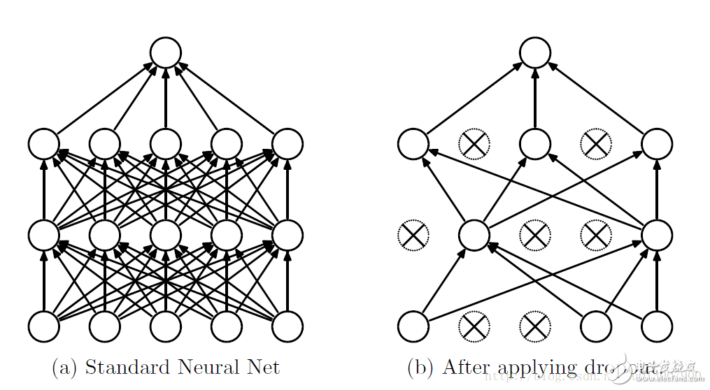 Understanding Dropout in Neural Networks