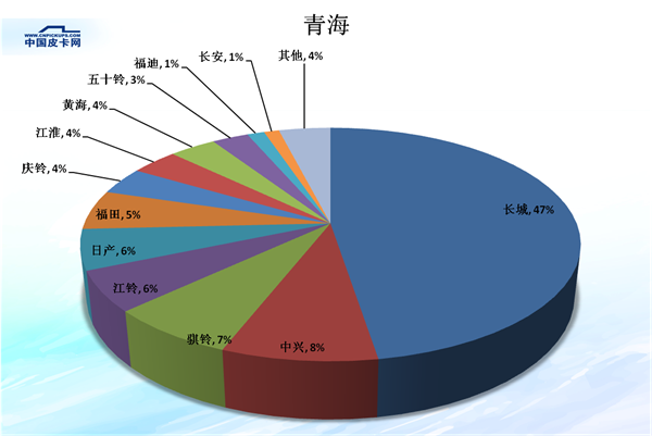 é”€é‡ï¼Œçš®å¡é”€é‡,çš®å¡å¸‚åœºä»½é¢