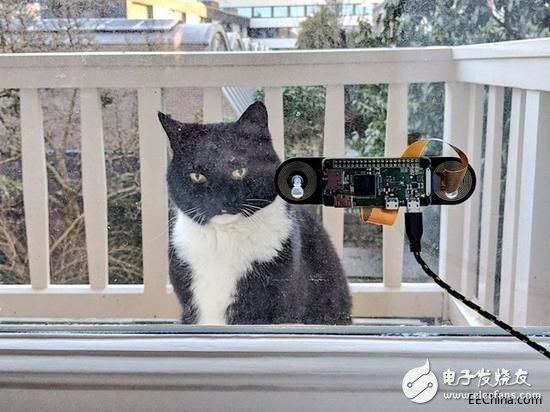 incredible! Engineer made "cat face recognition" access control, face recognition was eliminated.