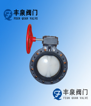 PVDF plastic butterfly valve