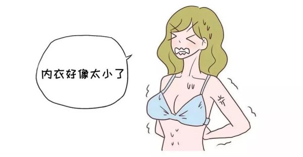 æœ¨è‰è®°