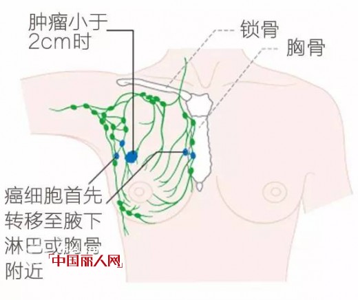 37åº¦love