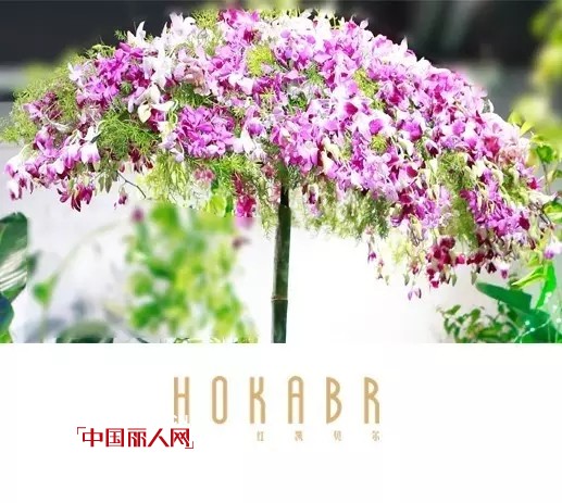 HOKABR 2017å¤â€œé›…è´¨Â·é—²æƒ…â€æ—¶å°šæ–°å“å‘å¸ƒä¼šåœ†æ»¡ç»“æŸ