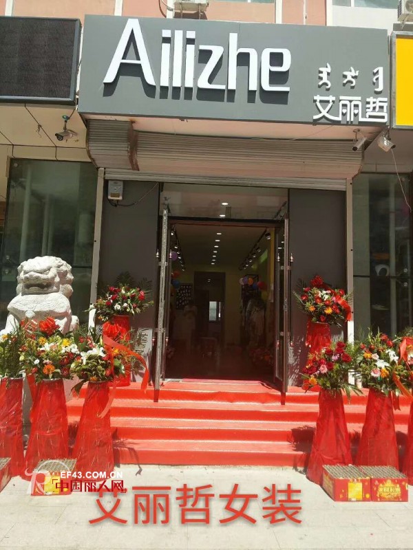 è‰¾ä¸½å“²-Ailizhe