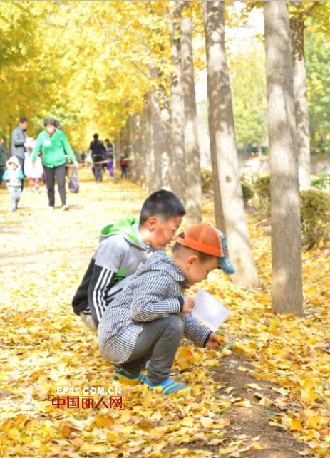 â€œå¥”è·‘å§ï¼Œå°‘å¹´ï¼â€èˆ’æœ—å¤§åž‹äº²å­è¶£å‘³è¿åŠ¨ä¼šç¬¬äºŒå­£æ¬¢ä¹ä¸Šæ¼”