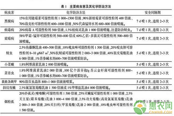 è®¾æ–½å¤§æ£šæ°´æžœèåœé«˜æ•ˆæ ½åŸ¹ç®¡ç†æŠ€æœ¯