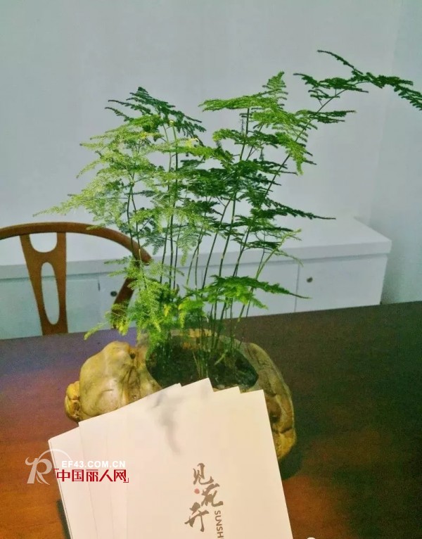 æ–°åº—æŽ¨èï½œè§Â·èŠ±å¼€ä¸Žæ‚¨ç›¸çº¦K-01æ¦†æ˜Ÿå¹¿åœº