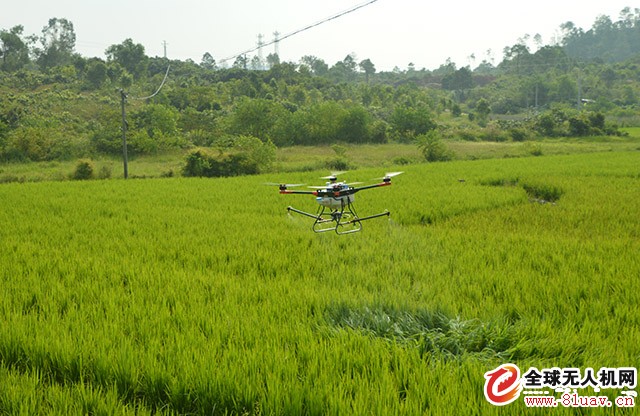 Plant Protection Drones: How to Avoid Accidents