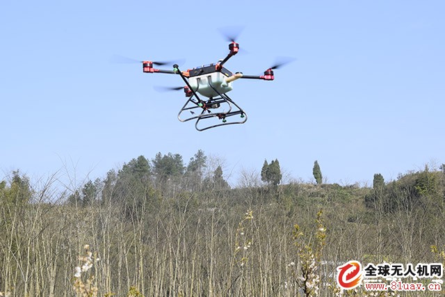 Plant Protection Drones: How to Avoid Accidents