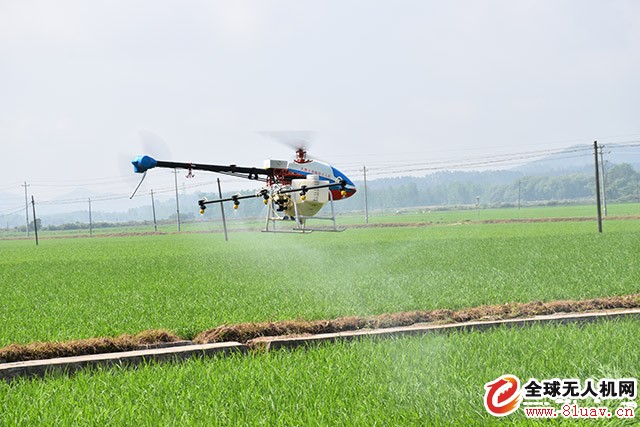 Plant Protection Drones: How to Avoid Accidents