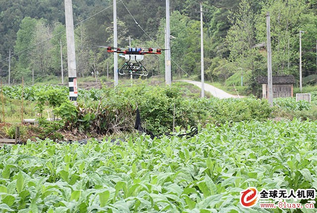 Plant Protection Drones: How to Avoid Accidents