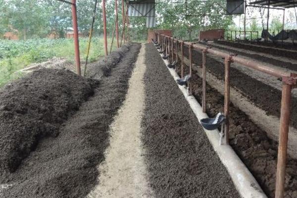 How to process organic fertilizer