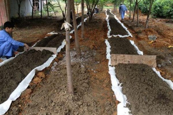 How to process organic fertilizer