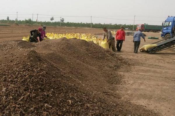 Chicken manure organic fertilizer production method