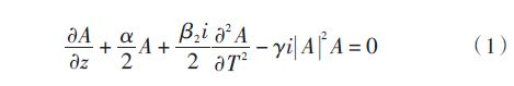 Nonlinear SchrÃ¶dinger equation