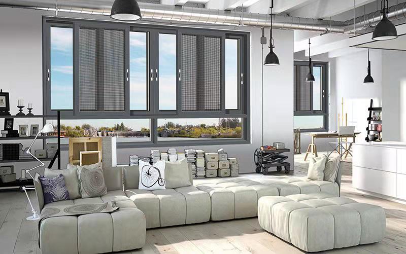 Janus overall doors and windows