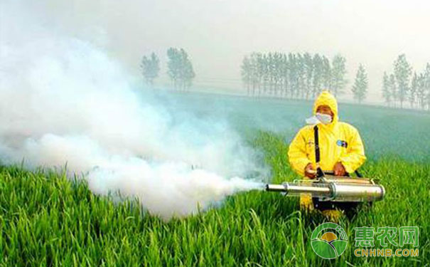 Ten taboos to pay attention to when applying pesticides