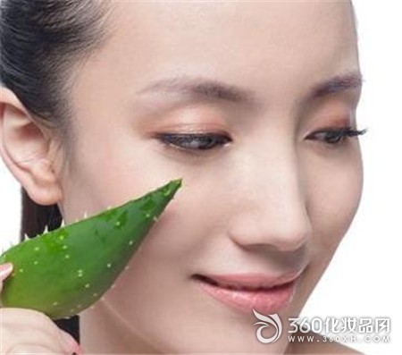 Aloe Vera Gel DIY Mask Soft Function Oily Skin Melanin Moisturizing