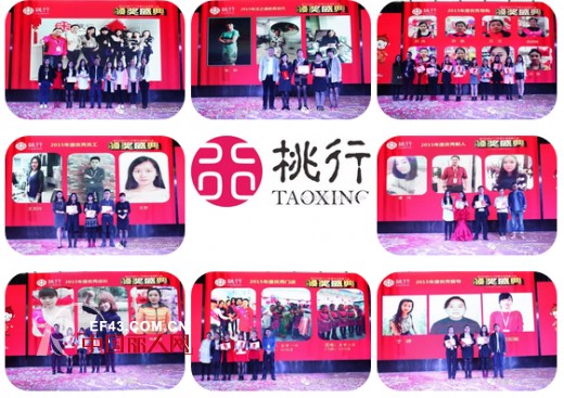 è“„åŠ¿å¾…å‘ å…±ç»˜ç²¾å½©â€”â€”æ¡ƒè¡Œç§‘æŠ€è…¾é£ž2016å¹´ä¼šç››å…¸å®Œæ»¡è½å¹•