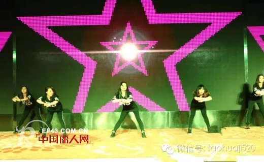 è“„åŠ¿å¾…å‘ å…±ç»˜ç²¾å½©â€”â€”æ¡ƒè¡Œç§‘æŠ€è…¾é£ž2016å¹´ä¼šç››å…¸å®Œæ»¡è½å¹•