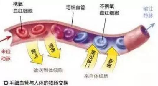 ä»€ä¹ˆæ˜¯å¾®å¾ªçŽ¯ï¼Ÿå¤ªæžä¼˜å…»ä¸ºä½ å®Œç¾Žåˆ†äº«