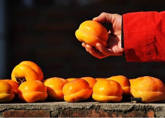 Milling persimmon