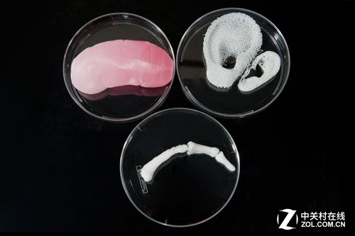 3D printing human organs