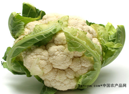 Cauliflower