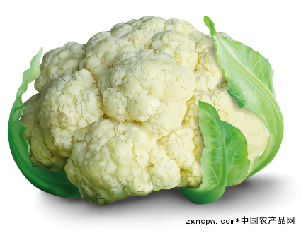 Cauliflower