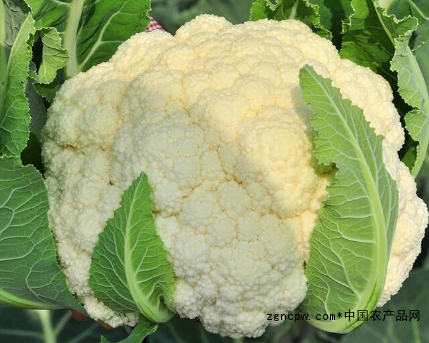 Cauliflower