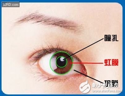 Exploring the iris recognition technology