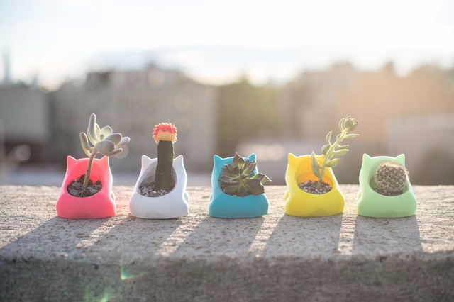 Your Pokemon! Pokemon Go 3D Print Awards