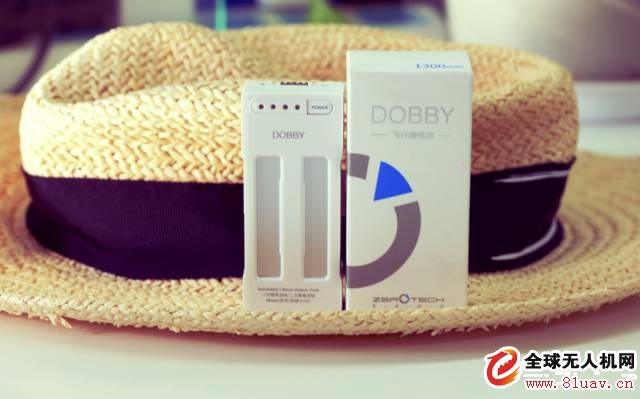 If you want to fly in the winter, you have to know this! (DOBBY)
