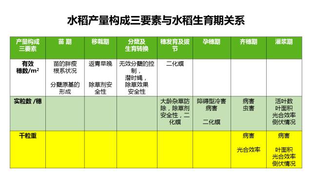 Northeast rice plant protection knowledge