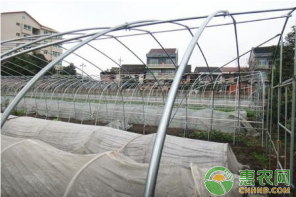 è®¾æ–½å¤§æ£šèœç§¸ç§†ç”Ÿç‰©ååº”å †æŠ€æœ¯