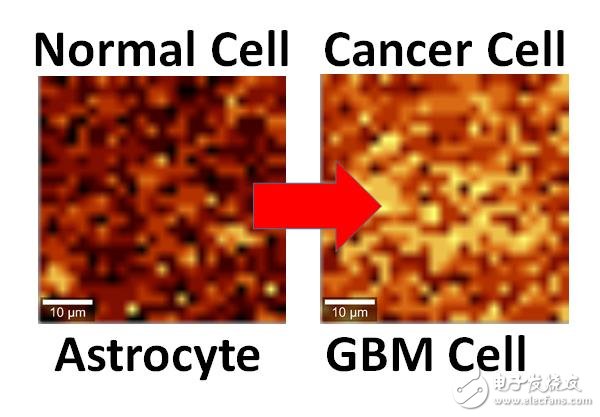 Graphene can also be used to discover cancer cells in the future. It is a versatile material.