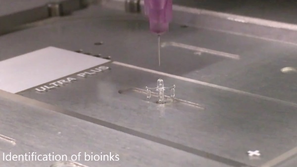 New Zealand scientists make new breakthroughs in bio 3D printed bones