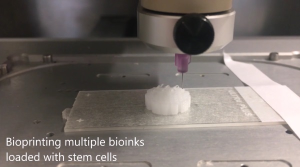 New Zealand scientists make new breakthroughs in bio 3D printed bones