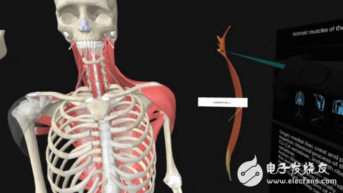 VR takes you to a different body anatomy