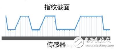 Fingerprint recognition - sensor principle