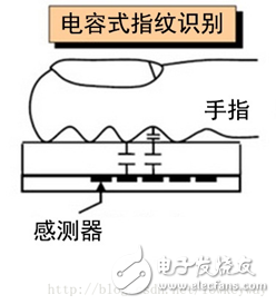 Fingerprint recognition - sensor principle