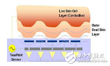 Fingerprint recognition - sensor principle