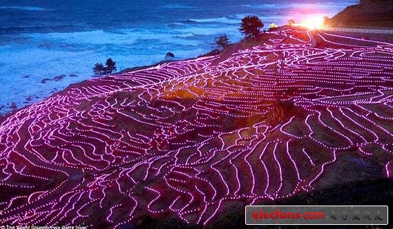 Japanese terraces are dazzled by 20,000 LED lights