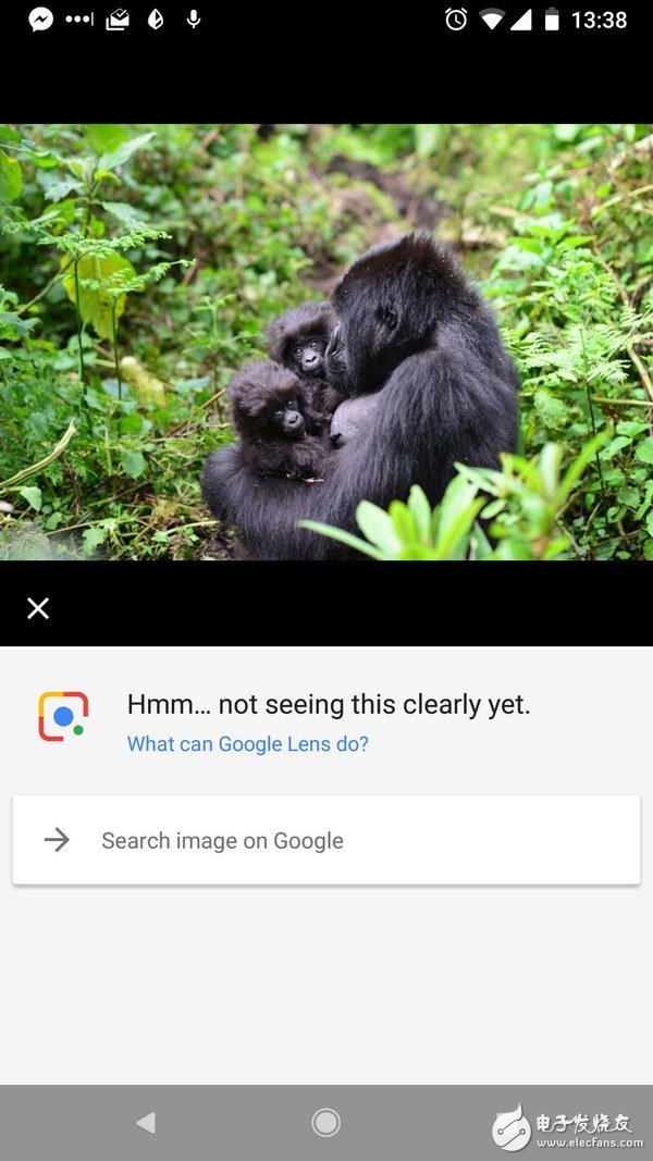 Google AI recognizes blacks as "gorillas" two years later: even if they can recognize them, they don't dare to identify them.