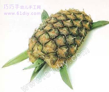Fruit Handmade - Pineapple Turtle