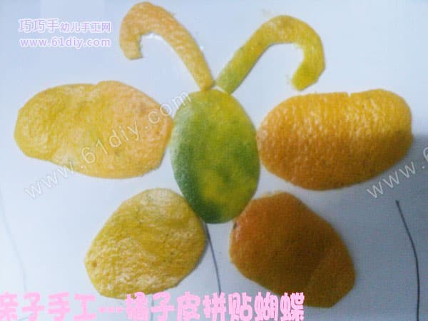 Orange peel stickers - butterfly
